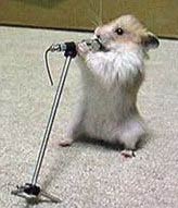 singing hamster art